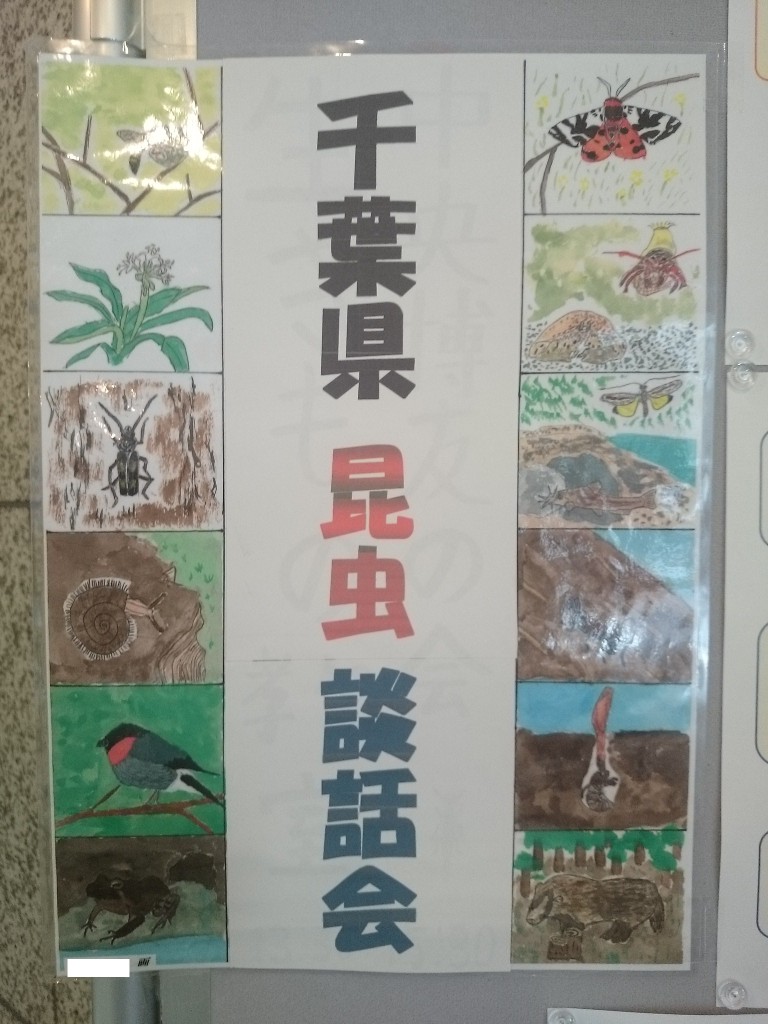 本会会員S君の作品